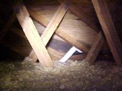 Mold in an attic from an ice dam leak