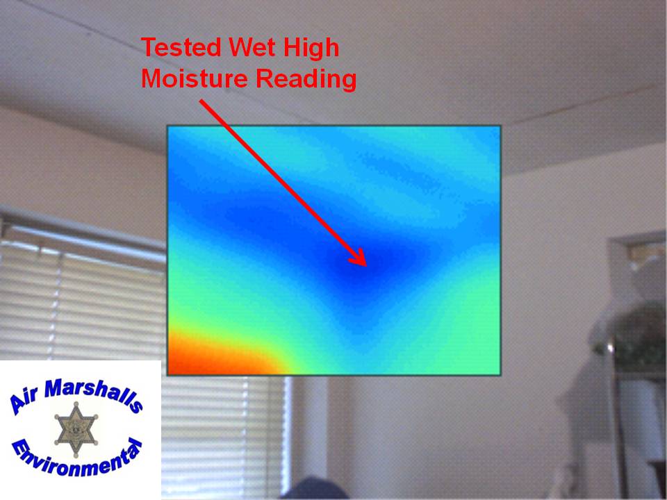 Thermal image: tested wet, high moisture reading