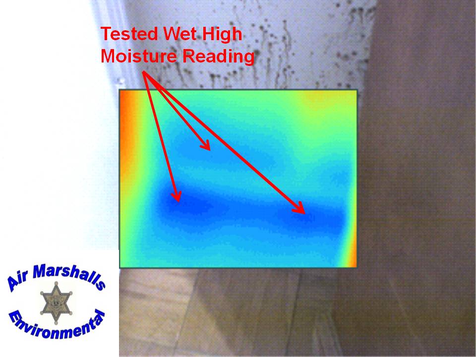 Thermal image: tested wet, high moisture reading